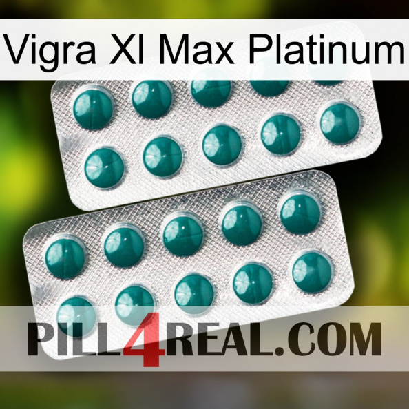 Vigra Xl Max Platinum dapoxetine2.jpg